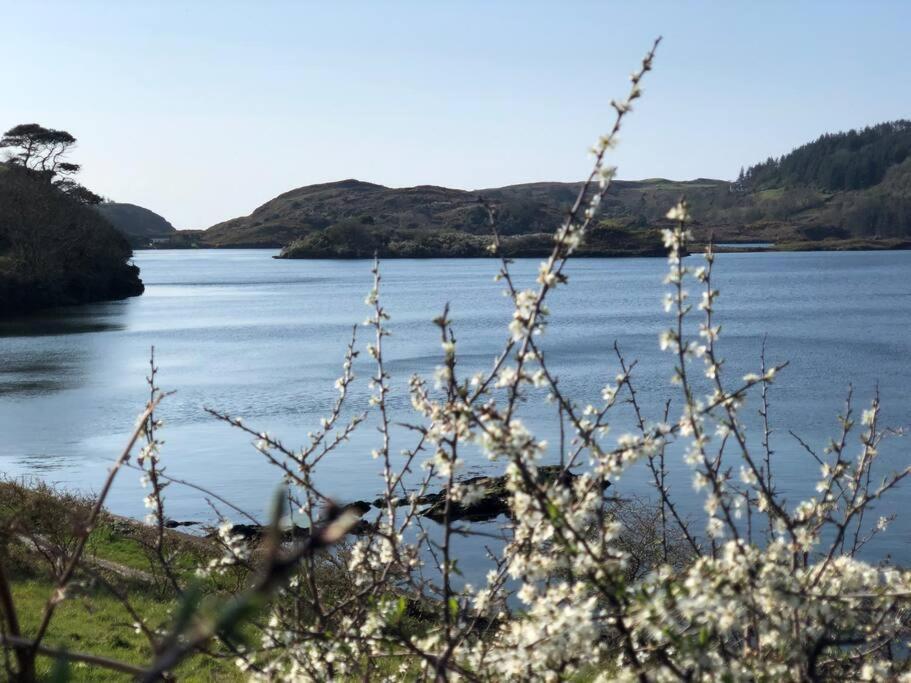 Lough Hyne Cottage Skibbereen Eksteriør bilde